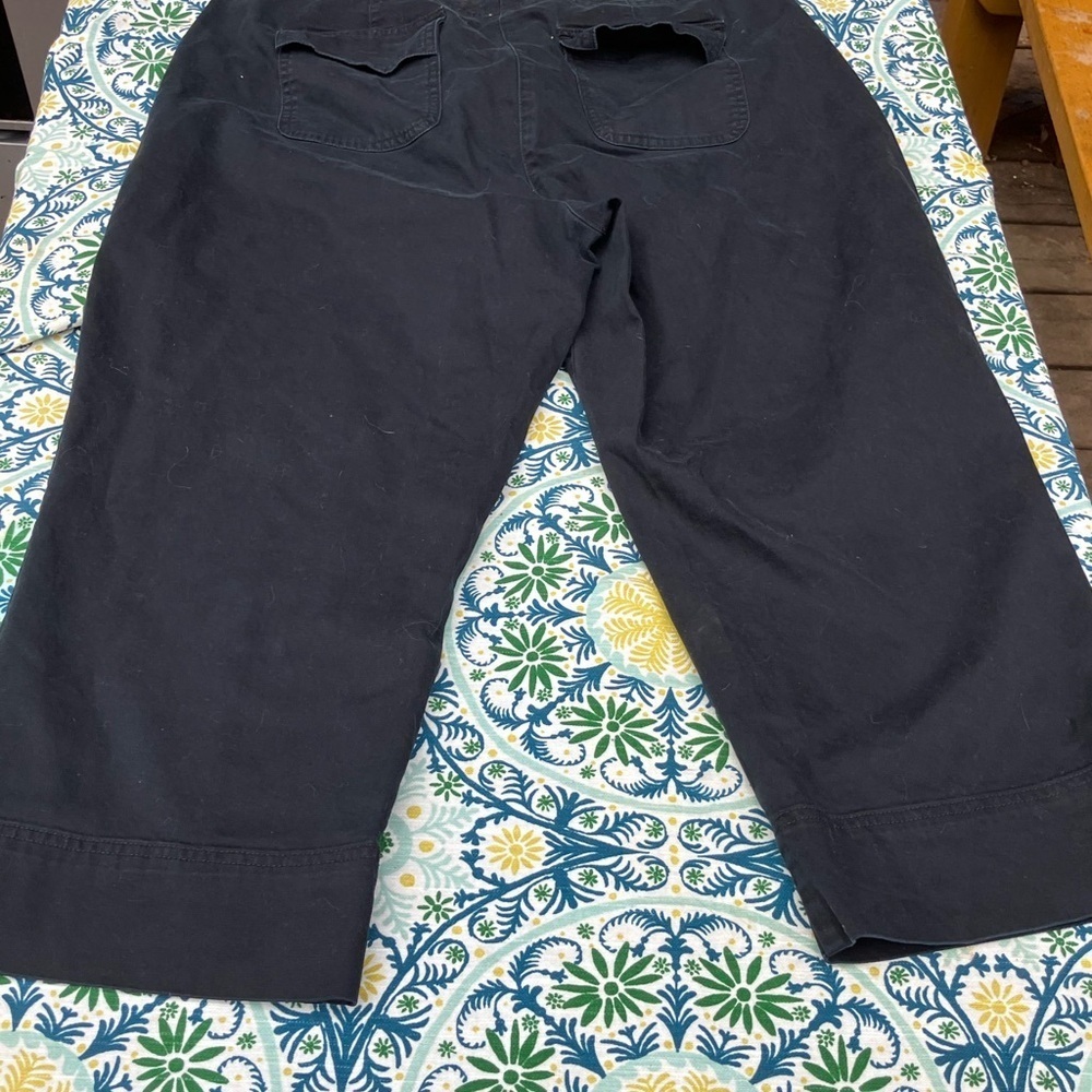 French Laundry Sport crapped, black cotton pants 16